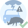 Une extrême prudence dans des conditions défavorables et en présence occasionnelle d'animaux ou de véhicules à moteur.